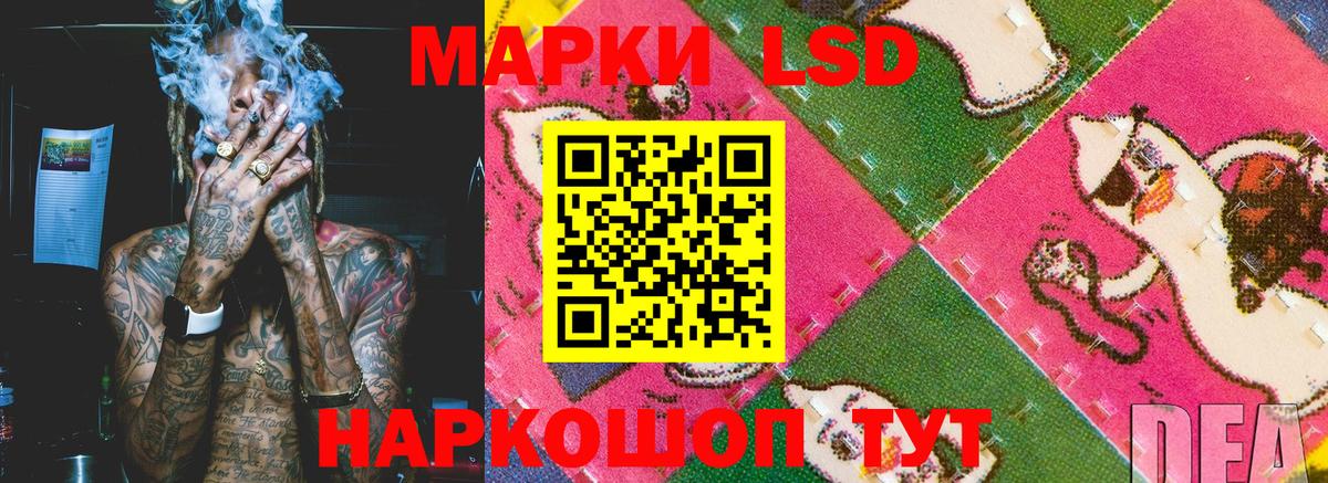 Благодарный  Марки N-bome 1,8мг  Марки N-bome 1,8мг  Вход с VPN 