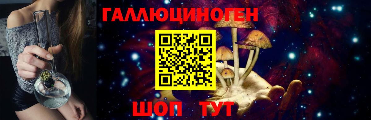 Псилоцибиновые грибы Psilocybe Благодарный