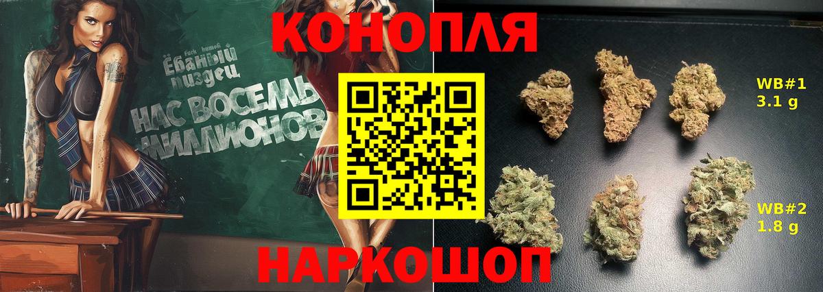 Бошки Шишки White Widow  Шишки марихуана марихуана  Благодарный  Конопля ГИДРОПОН  Вход с VPN  Бошки марихуана ГИДРОПОН 